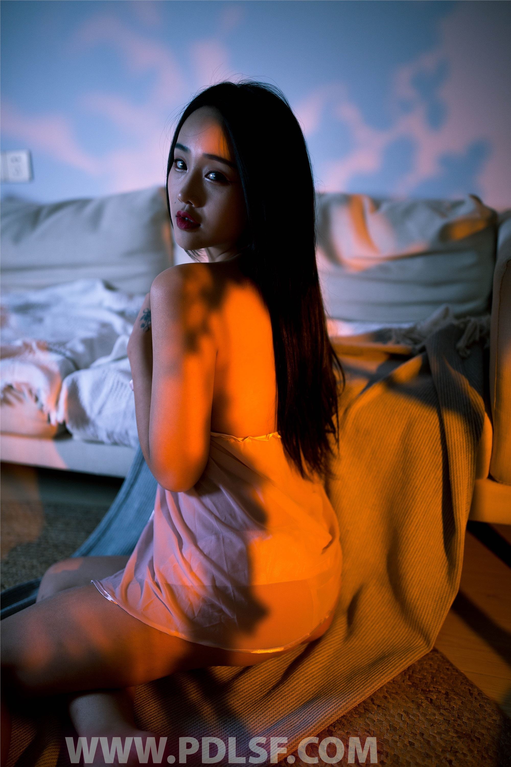 PDL潘多拉 2020.01.10 专辑No.265